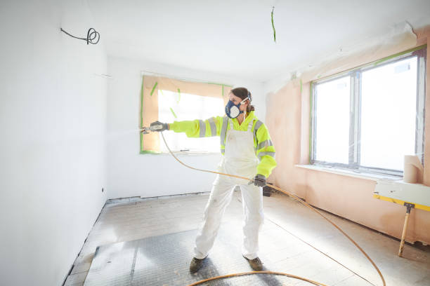 Best Emergency Mold Remediation  in New Rockford, ND