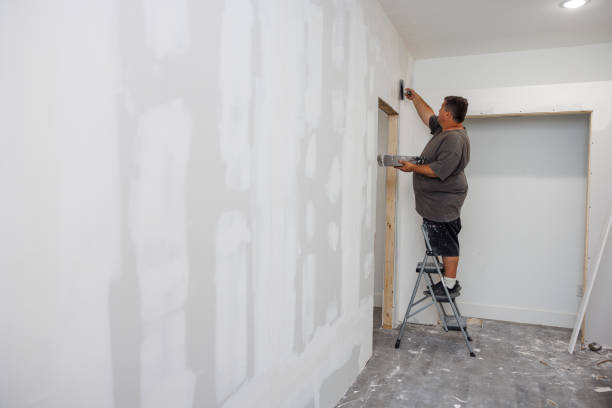 Best Mold-Related Health Consultation  in New Rockford, ND