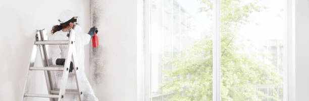 Best Forensic Mold Investigation  in New Rockford, ND