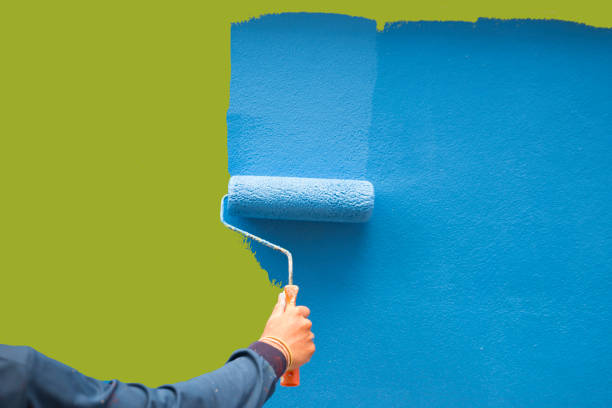  New Rockford, ND Mold Removal Pros