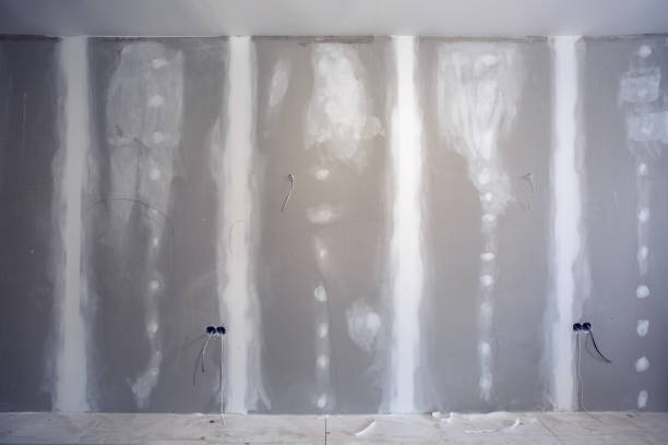 New Rockford, ND Mold Removal Company