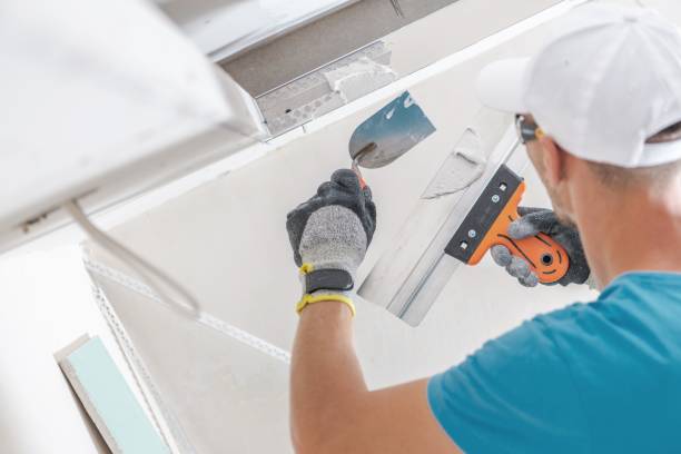 Best Residential Mold Inspection & Testing  in New Rockford, ND